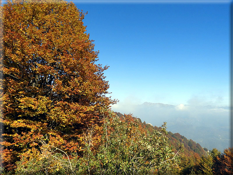 foto Rifugio Azzoni